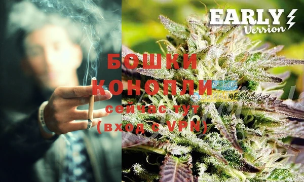 2c-b Белокуриха