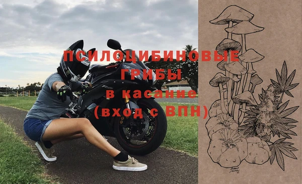 2c-b Белокуриха