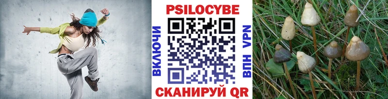 hydra ТОР  цена   Кремёнки  Галлюциногенные грибы прущие грибы 